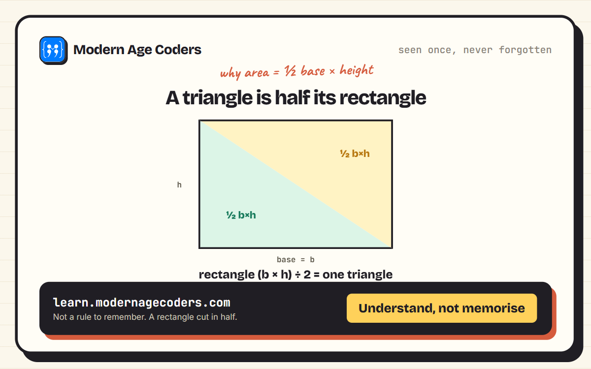 A rectangle split diagonally into two equal triangles, showing visually why the area of a right triangle is half of base times height